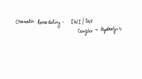 chromatin-remodeling-by-the-swi-snf-complex-requires-hydrolysis-of-atp-what-purpose-does-this-serve-98312