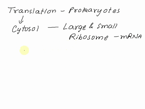 question-22-1-point-which-of-the-following-descried-the-start-of-translation-in-prokaryotes-large-sub-unit-binds-goes-to-start-codon-small-sub-unit-binds-small-sub-unit-binds-large-sub-unit-29808
