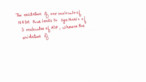 assume-10-nadh-molecules-and-10-fadh2-molecules-enter-the-electron-transport-chain-how-many-atp-molecules-will-be-synthesized-14402