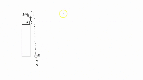 a-boy-throws-a-ball-vertically-upward-with-an-initial-velocity-of-3-ms-from-the-roof-deck-of-a-building-the-ball-strikes-the-sidewalk-at-the-ground-level-after-4-seconds-what-is-the-velocity-74438