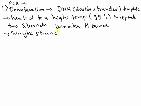 briefly-describe-what-happens-during-each-of-the-phases-of-pcr-denaturation-annealing-and-extension-including-when-you-need-each-of-the-major-components-of-the-reaction-template-primers-nucl-99313