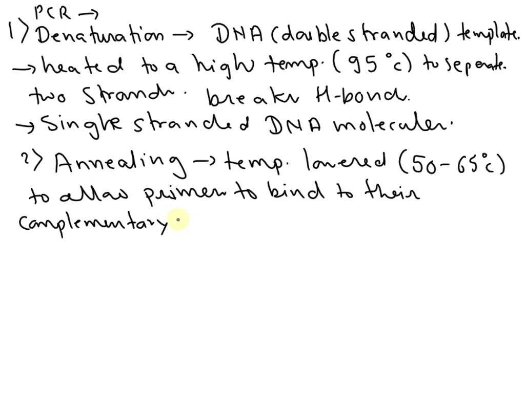 SOLVED Briefly describe what happens during each of the phases of PCR
