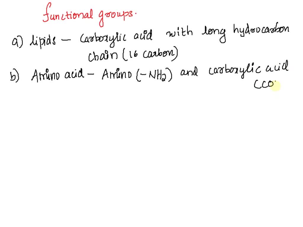 SOLVED Questions We have discussed lipids and amino acids. What are