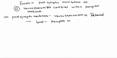 26which-of-the-following-events-occurs-on-the-postsynaptic-membrane-aacetylcholine-production-b-rapid-degradation-of-acetylcholine-crelease-of-ncurotransmitter-d-neurotransmitter-combines-wi-50567