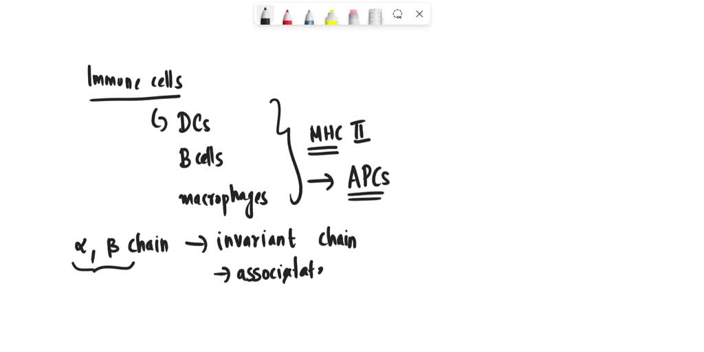 mhc class 2 invariant chain