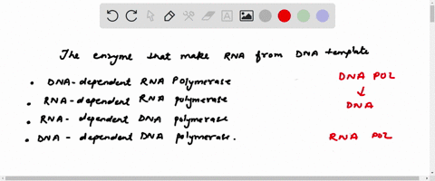 the-enzyme-that-makes-rna-from-dna-template-is-dna-dependent-rna-polymerase_-rna-dependent-rna-polymerase-rna-dependent-dna-polymerase-dna-dependent-dna-polymerase_-09064
