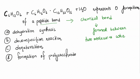 c-6-h-12-o-6-c-6-h-12-o-6-c-12-h-22-o-11-h-2-o-represents-o-formation-of-a-peptide-bond-dehydration-synthesis-a-decomposition-reaction-denaturation-formation-of-a-polysaccharide-12467