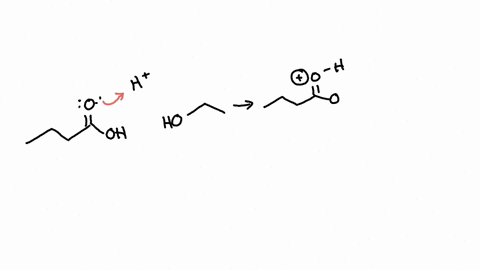 using-carbon-skeletal-notation-write-the-dehydration-condensation-reaction-that-occurs-between-ethanol-and-butanoic-acid-78866