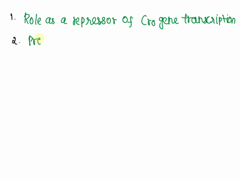 for-the-following-questions-consider-these-known-facts-about-the-role-of-ci-protein-in-regulating-the-lysislysogeny-decision-in-lambda-phage-binding-of-ci-protein-to-or1-inhibits-transcripti-46688