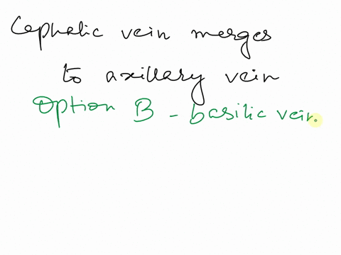 the-cephalic-vein-merges-with-the-axillary-vein-to-become-the-a-superior-vena-cava-b-basilic-vein-c-brachial-vein-d-subclavian-vein-e-axillary-vein-38102