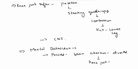 how-did-mental-distraction-and-muscle-activity-in-another-area-affect-the-patellar-knee-jerk-reflex-07267