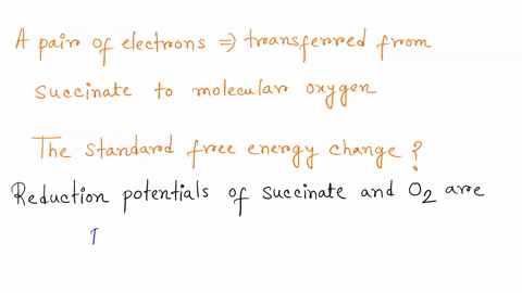 a-calculate-the-standard-free-energy-change-as-a-pair-of-electrons-is-transferred-from-succinate-to-molecular-oxygen-in-the-mitochondrial-respiratory-chainb-based-on-your-answer-in-part-a-ca-61467