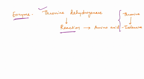 tne-enzyme-threonine-dehydrogenase-which-catalyzes-one-of-the-reactions-in-the-production-0f-the-amino-acid-isoleucine-from-threonine-acts-as-competitive-inhibitor-allosteric-activator-allos-68834