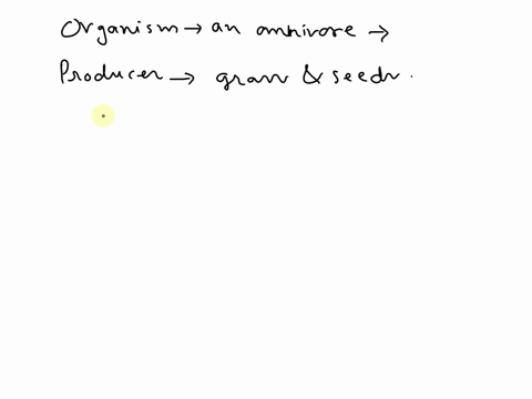 owl-fox-snake-rabbit-mouse-frog-squirrel-grasshopper-grass-seeds-in-this-food-web-which-organism-is-an-omnivore-08341