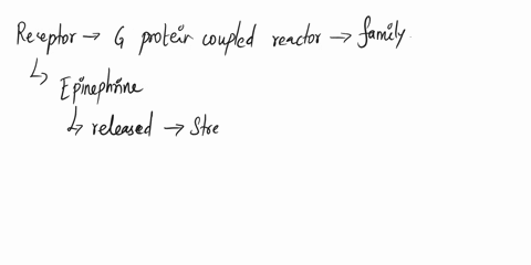 19-which-of-the-following-statements-about-epinephrine-is-are-true-select-all-that-apply-a-receptor-for-epinephrine-belongs-to-g-protein-coupled-receptor-family-b-epinephrine-released-under-12389