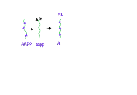 two-true-breeding-stocks-of-pea-plants-are-crossed-one-parent-has-purple-axial-flowers-and-the-other-has-white-terminal-flowers-all-f1-individuals-have-purple-axial-flowers-the-genes-for-flo-79172