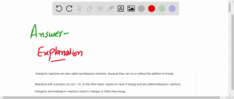 indicate-whether-the-following-reactions-are-endergonic-requiring-energy-input-or-exergonic-releasing-energy-endergonic-exergonic-definition-word-photons-from-the-sun-reach-planet-earth-plan-79769
