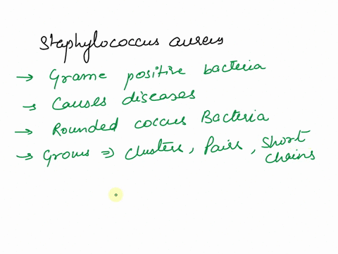 describe-the-microorganism-staphylococcus-aureus-please-be-sure-to-include-the-type-of-organism-bacterial-viral-fungal-protozoa-helminth-etc-morphology-shape-arrangement-colony-morphology-if-12064
