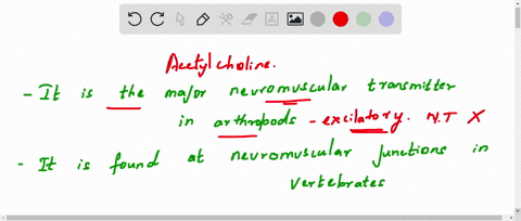 which-of-the-following-statements-about-acetylcholine-is-true-it-is-the-major-neuromuscular-transmitter-in-arthropods-it-is-found-at-neuromuscular-junctions-in-vertebrates-it-is-well-studied-52366