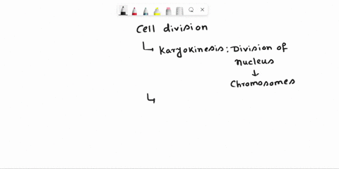 match-the-following-columns-column-i-column-iia-separation-of-daughter-chromosomes-1-interphaseb-division-of-cytoplasm-2-karyokinesisc-phase-between-two-successive-m-phases-3-s-phased-synthe-22948