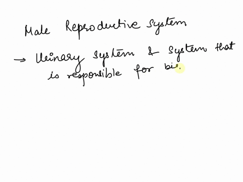 the-human-male-reproductive-system-is-adapted-for-the-production-of-11016