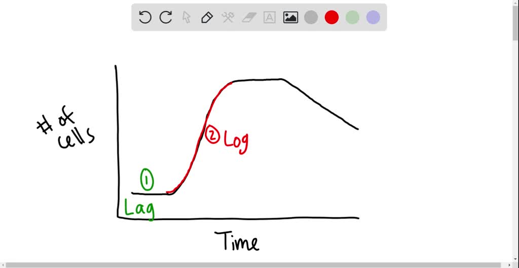 SOLVED: What are the 4 stages of the bacterial growth curve?