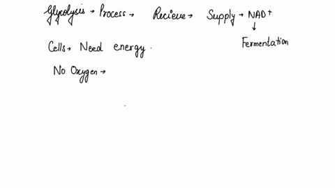 which-important-biochemical-process-receives-a-supply-of-nad-ions-from-the-fermentation-process-during-anaerobic-respiration-30079