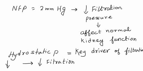a-patient-is-found-to-have-the-following-pressures-hpgc-45-mm-hg-opgc-29-mm-hg-hpcs-14-mm-hg-calculate-nfp-nfp-45-2914-2-mm-hg-is-this-value-normal-low-or-high-low-if-not-normal-which-pressu-44632