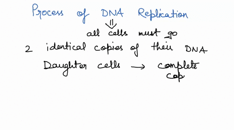 describe-the-process-of-dna-replication-16311