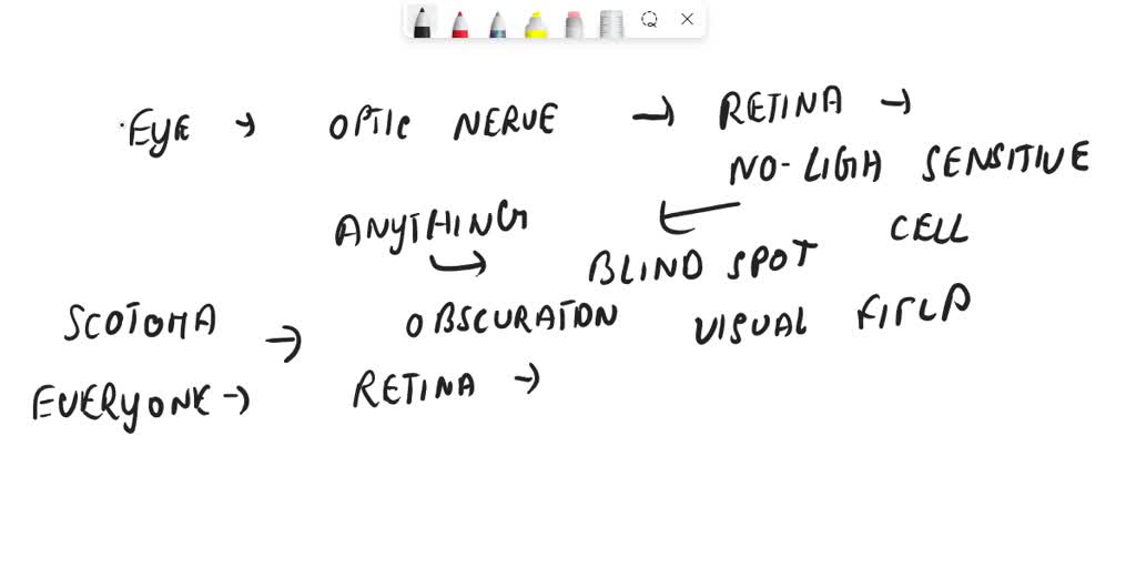 blind-spot-vision-experiments