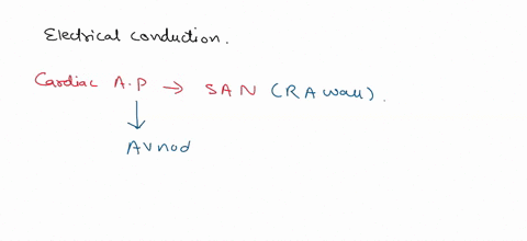 which-of-the-following-options-show-the-electrical-conduction-system-of-the-heart-in-the-correct-order-group-of-answer-choices-a-left-atrium-bicuspid-valve-left-ventricle-pulmonary-arteries-29139
