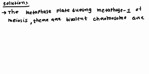 at-the-metaphase-plate-during-metaphase-i-of-meiosis-there-are-a-chromosomes-consisting-of-one-chr-2-91298