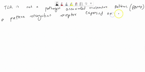 correct-answers-asap-9qui22es751698take-question-12-1pts-pattern-recognition-receptors-prr-on-innate-immune-cells-recognise-pathogen-associated-molecular-patterns-pamp-expressed-by-pathogens-17065