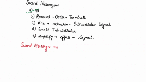 48-second-messengers-all-of-these-choices-are-correct-removed-in-order-to-terminate-cellular-signaling-response-are-play-role-in-activation-of-intracellular-signal-transduction-are-small-int-57055