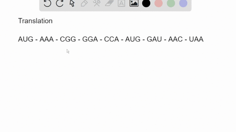 given-the-following-sequence-of-mrna-what-would-the-resulting-amino-acid-sequence-be-augaaacggggacca-45818