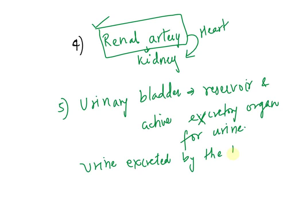 SOLVED 4 Substance that extend the shelf life of RBCs and their function
