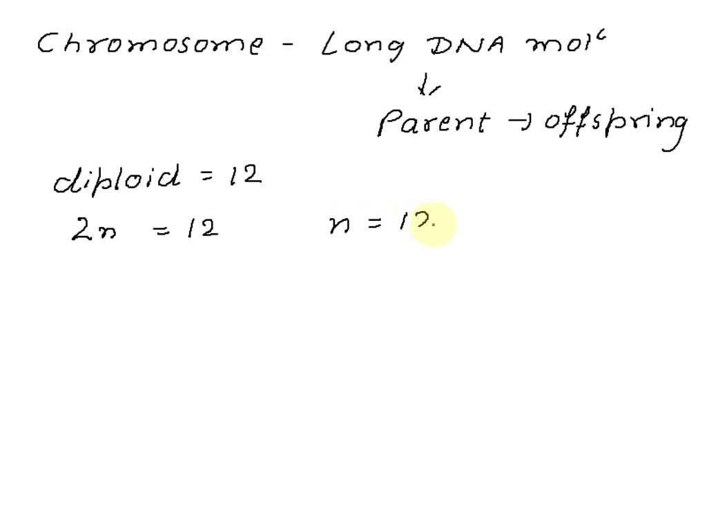 SOLVED if an organism has a diploid number of 12, how many possible