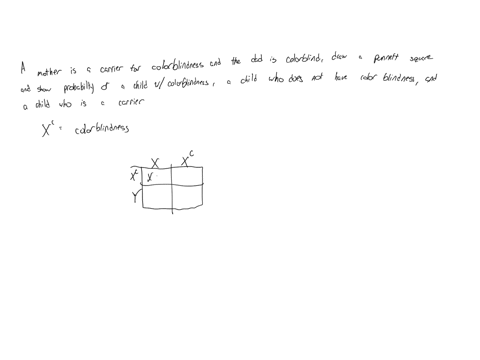 a-mother-is-a-carrier-for-colorblindness-and-a-dad-is-colorblind-please-draw-a-punnet-square-and-indicate-the-probability-of-having-a-child-who-has-colorblindness-a-child-who-is-not-colorbli-30336