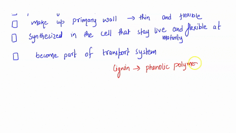 how-did-the-evolution-of-lignin-affect-vascular-plant-structure-and-function-select-all-that-apply-it-drives-out-water-and-strengthens-the-cell-wall-it-is-one-of-the-major-constituents-of-th-41672