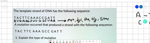 the-template-strand-of-dna-has-the-following-sequence-tacttcaaaccgatt-a-mutation-occurred-that-produced-a-strand-with-the-following-sequence-tac-ttc-aaa-gcc-gat-t-1-explain-the-type-of-mutat-54885