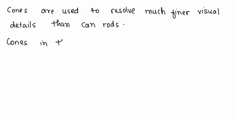 question-19-2-pts-in-the-human-retina-cones-have-a-higher-convergence-onto-bipolar-cells-than-do-rods-cones-converge-directly-onto-ganglion-cells_-whereas-rods-converge-onto-bipolar-cells-co-47918