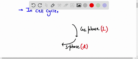 question-1-1-point-put-the-following-parts-of-the-overall-cell-cycle-into-the-in-the-g1-phase_-correct-order-assume-you-are-starting-g2-phase-anaphase-prometaphase-s-phase-prophase-cytokines-32836