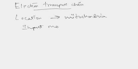 concept-9-4-during-oxidative-phosphorylation_chemiosmosis-couples-electron-transport-to-atp-synthesis-electron-transport-chainatp-synthase-location-input-output-molecules-atp-produced-chemio-55287
