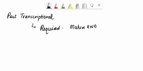 premature-mrna-must-be-processed-before-it-can-leave-the-nucleus-all-of-the-following-are-examples-of-post-transcriptional-processing-except-5-cap-must-be-added-poly-a-tail-is-added-to-the-3-46856