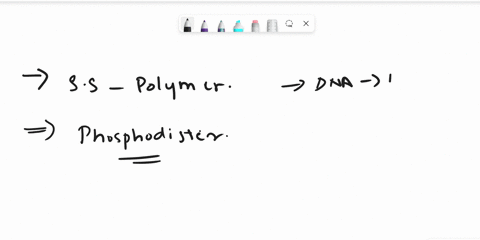 which-of-the-following-is-usually-found-as-a-single-stranded-polymer-with-phosphodiester-linked-monomers-dna-all-of-these-protein-none-of-these-rna-carbohydrate-76219