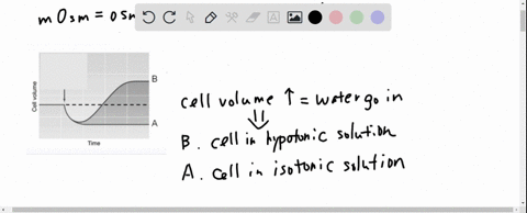 how-to-solve-and-explanation-of-answer