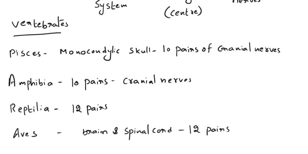 SOLVED: Compare and contrast the nervous and muscular systems of a