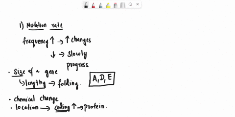 1-factors-that-contribute-to-the-mutation-rate-of-any-gene-include-choose-all-correct-a-the-size-of-the-gene-bthe-protein-the-gene-will-give-rise-to-after-translation-cthe-nucleotide-sequenc-53355