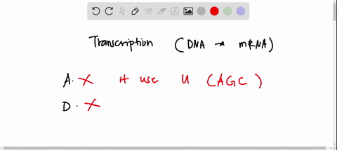 which-of-the-following-are-true-about-transcription-select-all-that-apply-a-polymerizes-a-g-c-and-t-ribonucleotides-to-form-the-pre-mrna-before-splicing-b-makes-an-rna-strand-that-is-complem-09902