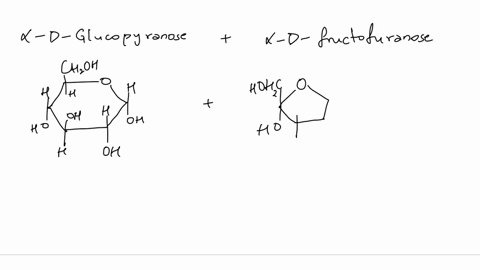 glycosidic-bond-in-sucrose-is-a-beta-1-4-b-alpha-1-2-c-beta-1-2-d-alpha-1-4-22459
